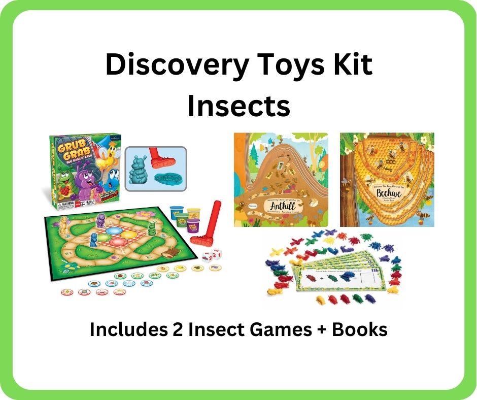 Learn about insects kit available at the Coleman Area Library