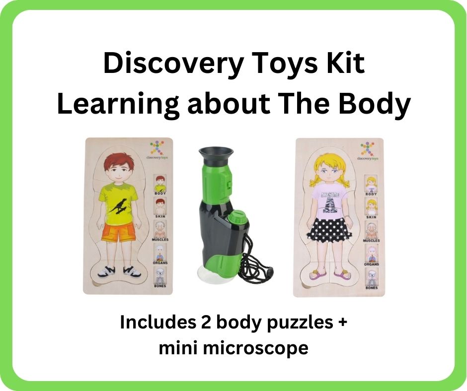 Learn about the human body kit available at the Coleman Area Library